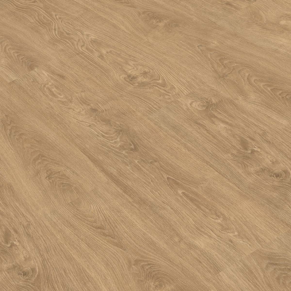 Roble Calma Gold Laminate